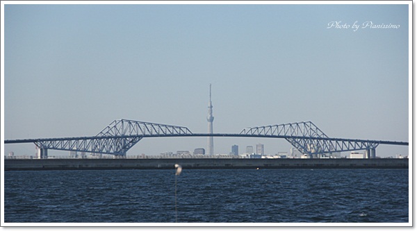 b0138661_814498.jpg