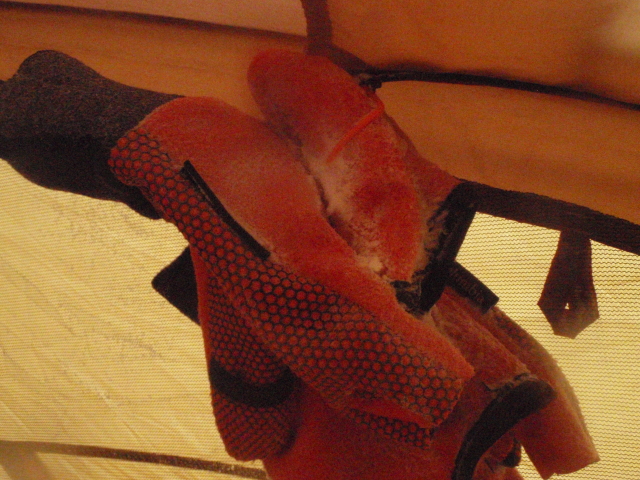 d0163264_1441491.jpg