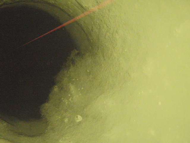 d0163264_1581182.jpg