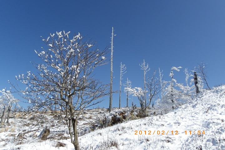 f0016066_1425873.jpg