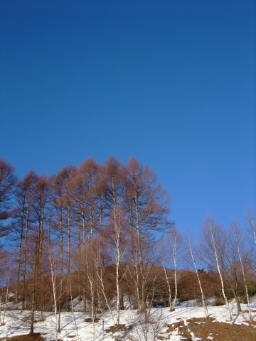 e0045768_2234045.jpg