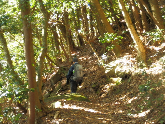 c0042869_6355372.jpg