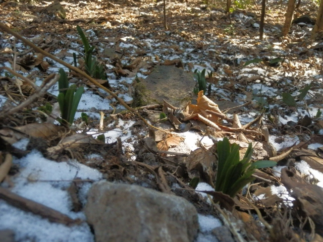 c0042869_6364881.jpg