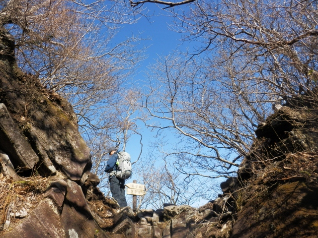 c0042869_645822.jpg
