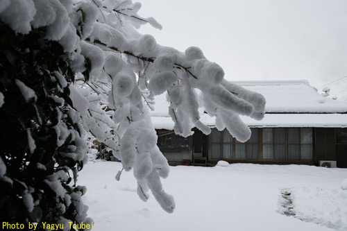 b0132475_22463410.jpg