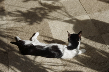 f0054677_8142439.jpg