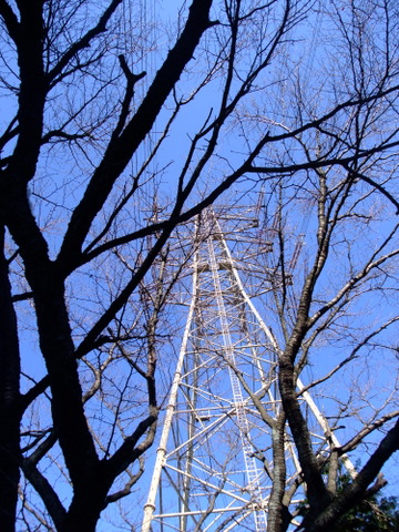 a0043982_15141549.jpg