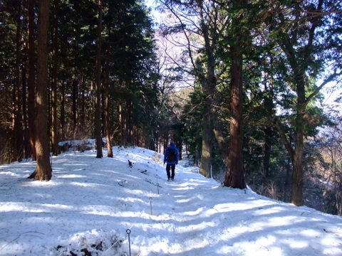 a0043982_15142814.jpg