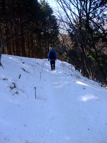 a0043982_1514480.jpg