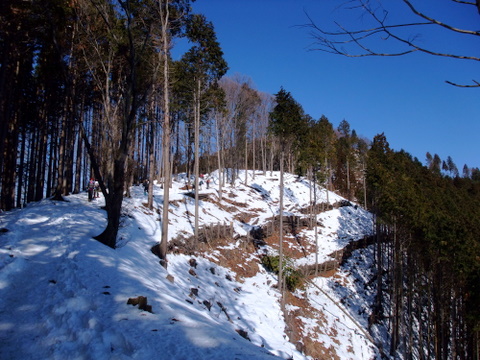 a0043982_15154031.jpg
