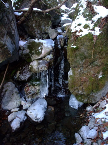 a0043982_18332210.jpg