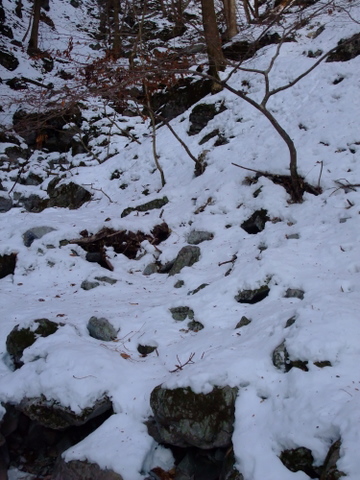 a0043982_183332100.jpg