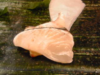 c0096582_219385.jpg