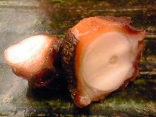 c0096582_2221032.jpg