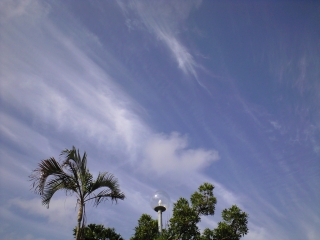 d0240983_2113572.jpg