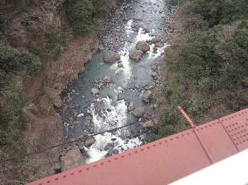 f0003283_1965176.jpg