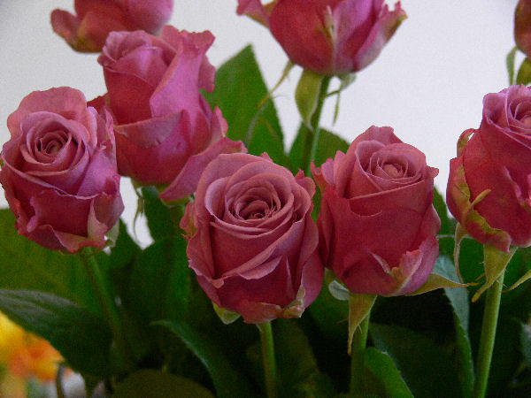 e0140986_13561480.jpg