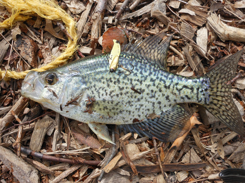 f0024887_2392420.jpg