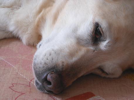 c0028792_21235620.jpg