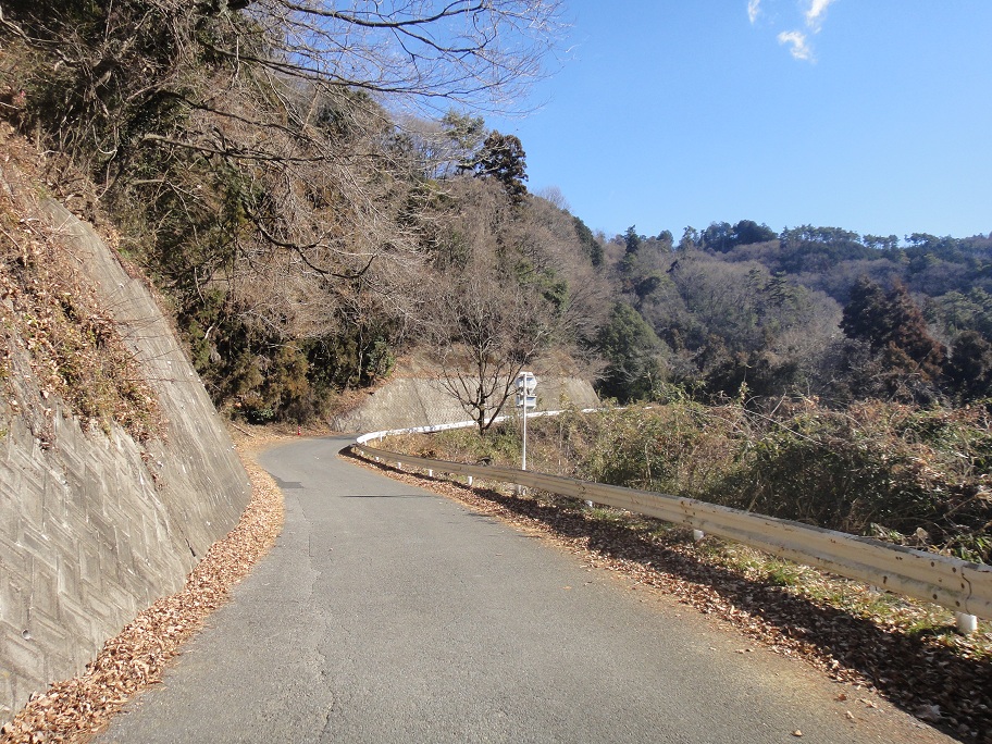 b0092300_1355.jpg
