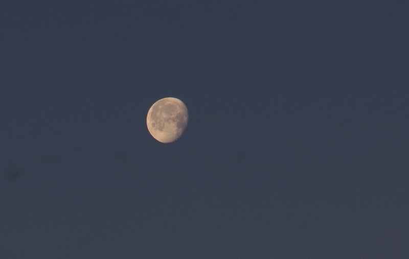 a0188405_21453213.jpg