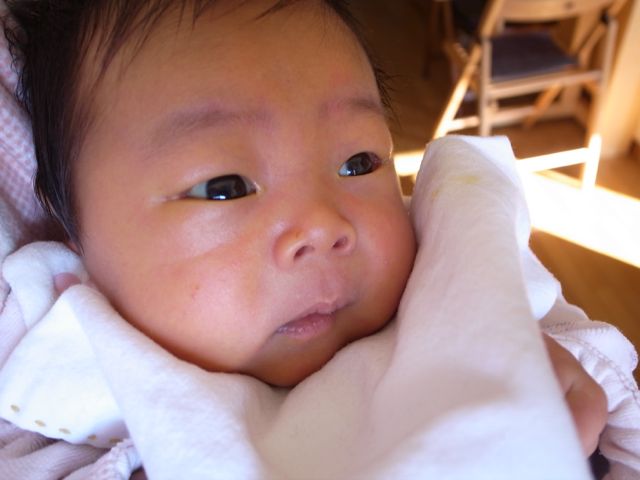 f0159406_18544176.jpg