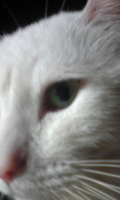 c0180209_1925621.jpg