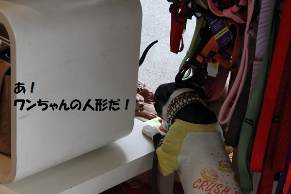 f0186509_16401447.jpg