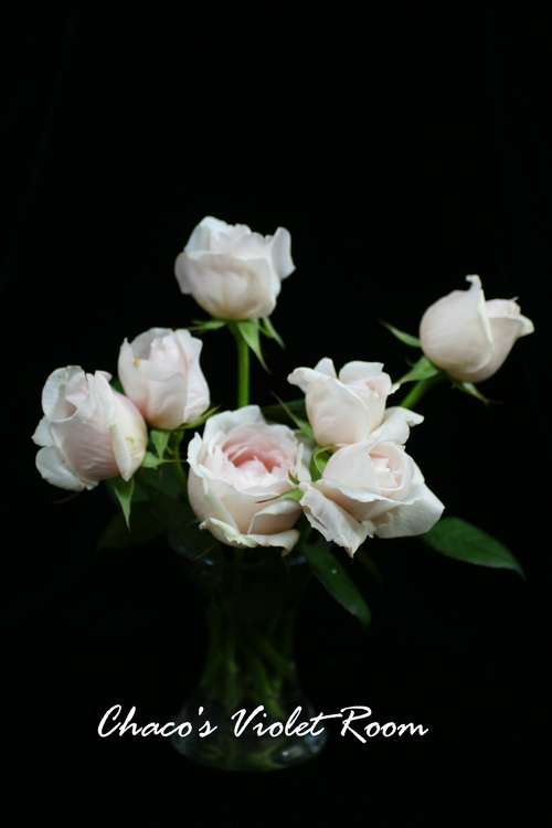 e0245625_2392021.png