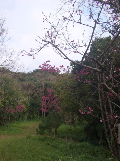 f0197325_11551535.jpg