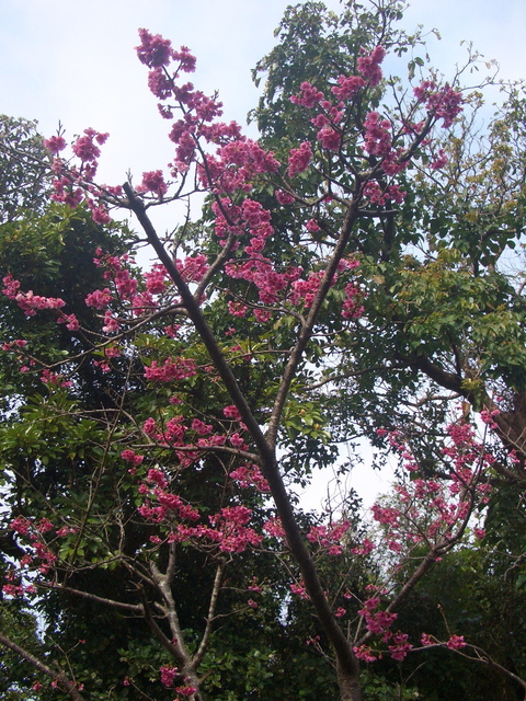 f0197325_11554167.jpg