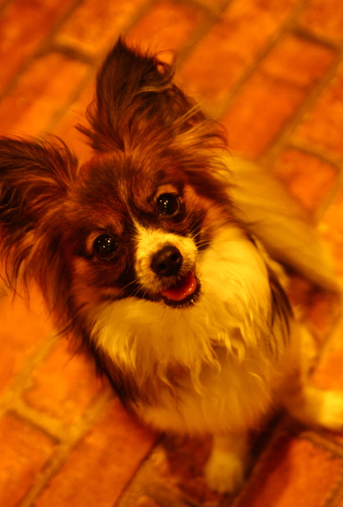 d0158028_1913389.jpg