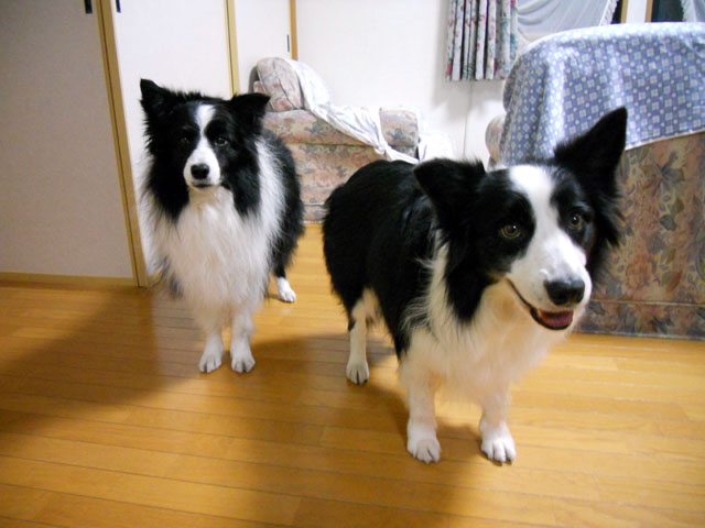 d0059230_8503915.jpg