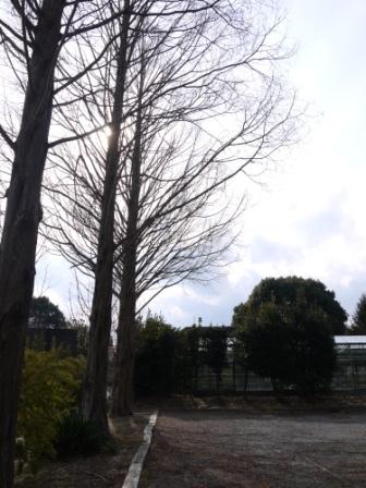 a0146431_15455439.jpg