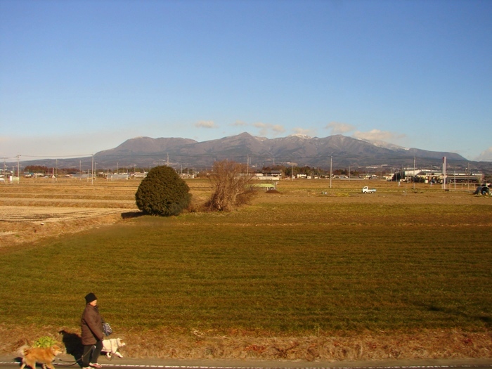 e0254331_22453327.jpg
