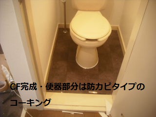 f0031037_22108.jpg