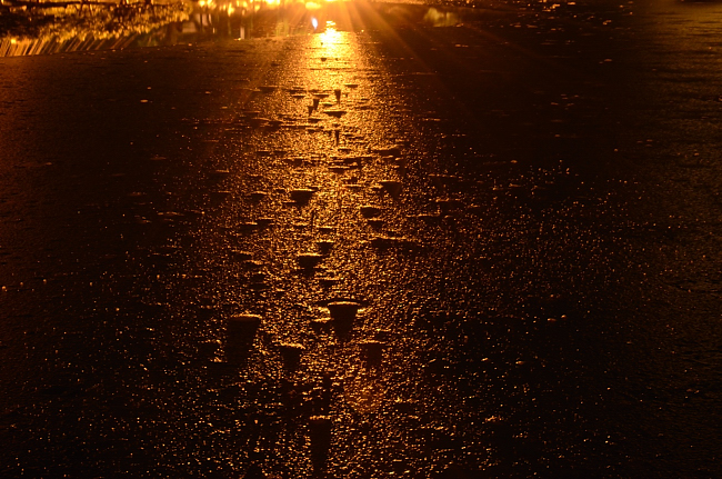 e0055138_1052830.jpg