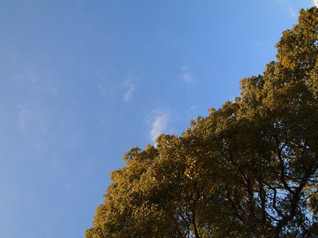 b0199742_2032564.jpg