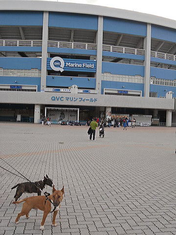 f0094843_0464762.jpg