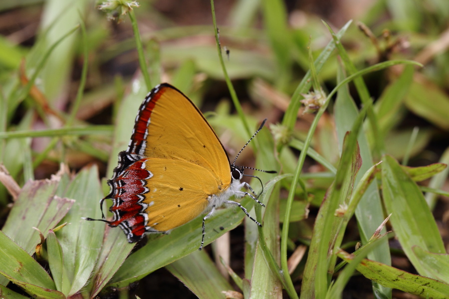 a0094850_16225466.jpg
