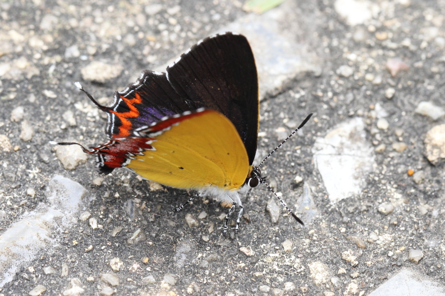 a0094850_16233381.jpg