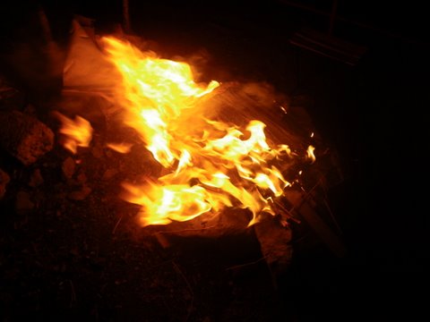 f0046250_0315653.jpg