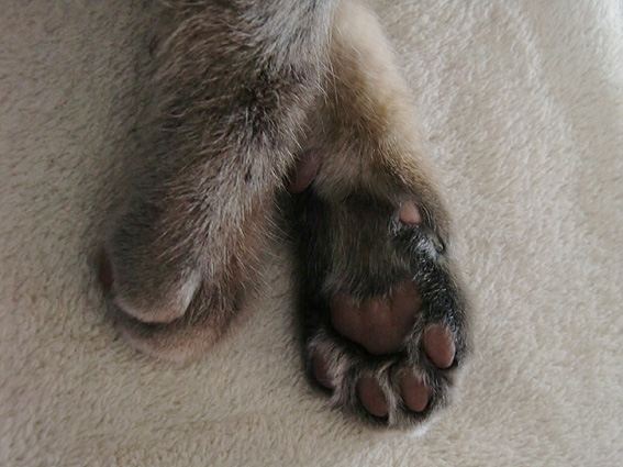 c0226874_133154.jpg