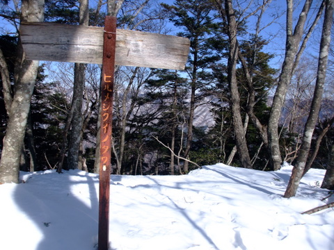 a0043982_1713545.jpg