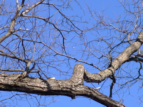 a0043982_1714380.jpg