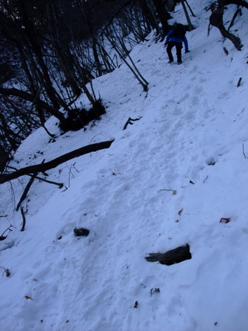 a0043982_1724041.jpg
