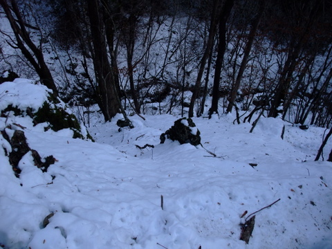 a0043982_1731075.jpg