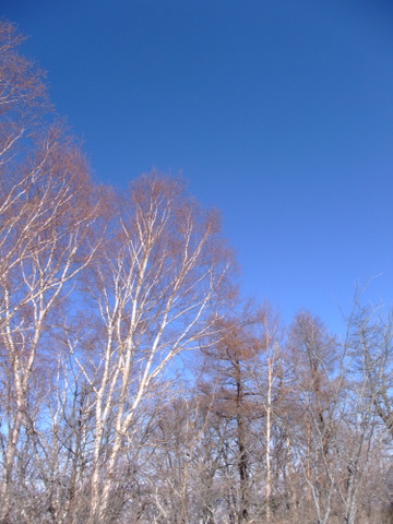 a0043982_18593115.jpg