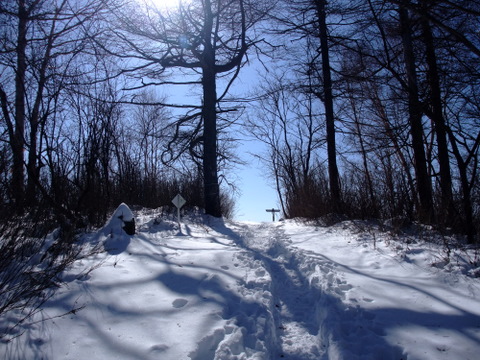 a0043982_190135.jpg