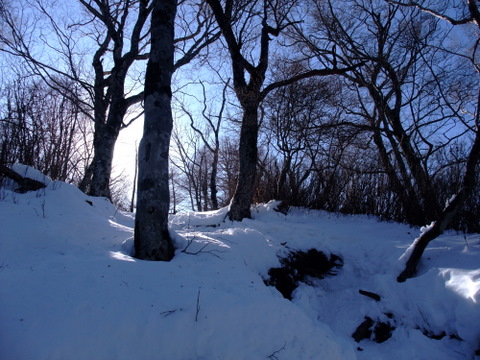 a0043982_1903084.jpg